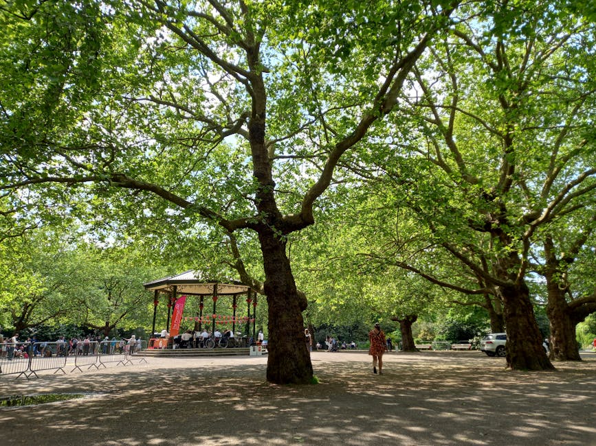 The image depicts a public park scene with several large mature trees featuring thick trunks and expansive green canopies that cast shaded areas on the ground. In the background, there is an open-air bandstand or band shell structure with a rounded, metal roof supported by vertical columns, situated on a paved area. Around the bandstand, a group of people can be seen seated on benches or standing, some appearing to watch a performance or gather socially. To the left of the scene, temporary metal barriers are arranged along the edge of the paved area, possibly controlling access or crowd flow. A narrow path runs through the park, with a lone person walking on it, dressed casually, heading toward the bandstand or away from it. In the far background, a few cars are parked along the edge of the park, visible through the trees. The overall atmosphere is calm and green, with natural lighting filtering through the dense leaves, providing a natural backdrop that subtly relates to outdoor environments where rubbish clearance services, like those offered by Rubbish Clearance Wandsworth, may be required for maintenance or event clean-up.